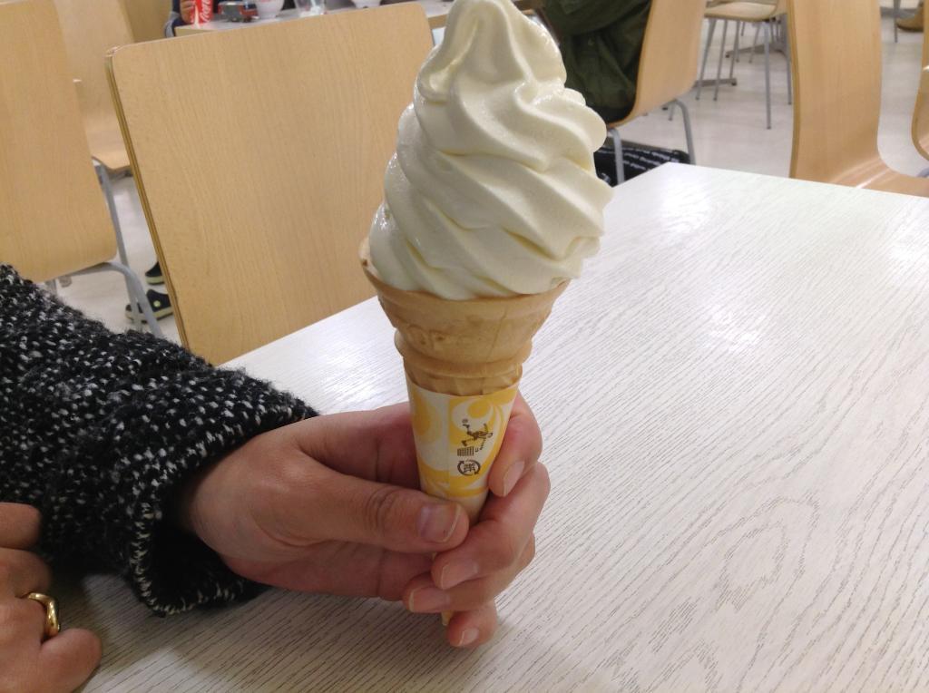 McDonald`s Aeon Toyokawa